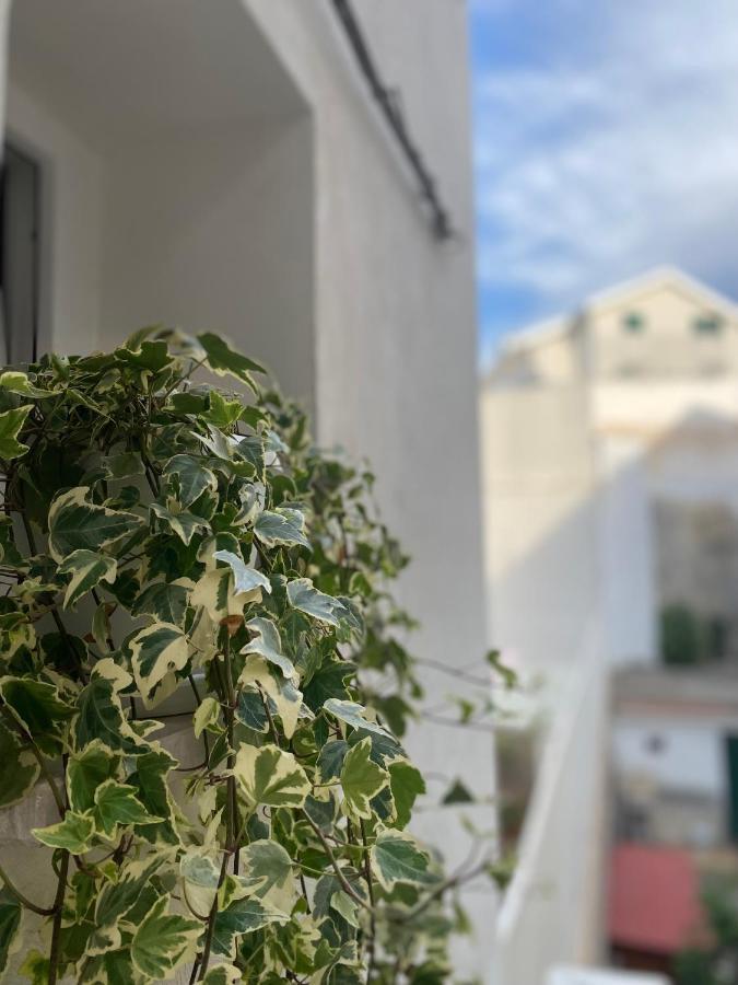 Viesterooms Kültér fotó